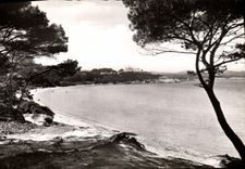 CPM Porquerolles Plage de la Courtade