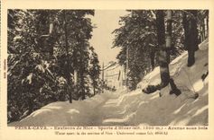 VINTAGE POSTCARD Peira Undermined Surroundings of Nice Avenue under wood