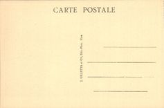 CPA Peira Cava Environs de Nice Avenue sous bois