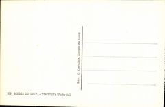 VINTAGE POSTCARD the jump Of the Wolf