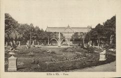 CPA Koln a Rh Flora