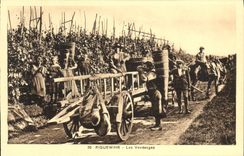 VINTAGE POSTCARD Riquewihr Grape harvest