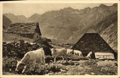 CPA Le Lac D'Estaing Vaches