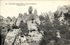 VINTAGE POSTCARD Montpellier the Old man the Circus of Millieres Forum or City
