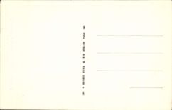 POSTAL Chaumont de la VENDIMIA en el castillo de Loire los levis del puente