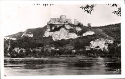 CPM Le Petit Andely Le Chateau Galliard