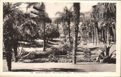 VINTAGE POSTCARD Monte Carlo Gardens of the casino small Africa