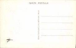 CPA Monte Carlo Les Jardins du casino La petite Afrique