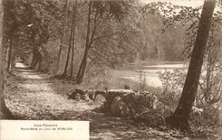 VINTAGE POSTCARD Under Wood With the Lake De Bonlieu