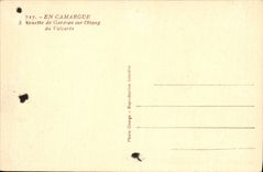 CPA En Camargue Gardian sur l'etang de Valcares Cheval