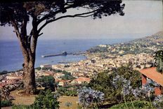 CPM Funchal from a Levada At Bom Sucesso With Tree Madeira