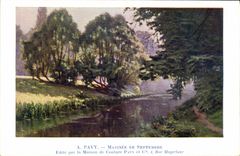 VINTAGE POSTCARD Pavy Crossbred Of September