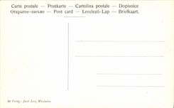 CPA Wiesbaden Wilhelmstrasse