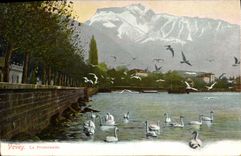 VINTAGE POSTCARD Vevey the Walk Swans
