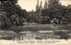 CPA Paris Bois De Boulogne Bagatelle L'Etang Des Nenuphars 