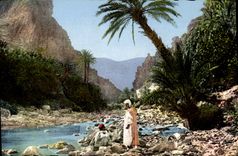 MODERN CARD Standard Scenes of North Africa the Prayer To the Landscape Of the South