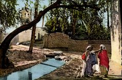 CPM Scenes Types D'Afrique du Nord Au bord de l'Oued