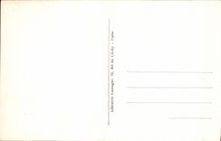 Escenas y tipos de la POSTAL de la VENDIMIA un asno de la calle