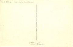 CPA Eiger Monch Jungfrau Berner Oberland