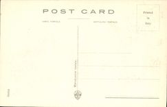 VINTAGE POSTCARD Firenze Big shot Vecchio