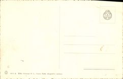 El visto LED de Della Citta del panorama de Torino de la POSTAL de la VENDIMIA monta Cappucini