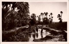 VINTAGE POSTCARD Scenes And Types In the Oasis