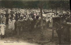 VINTAGE POSTCARD Maison Carrée Market Surroundings of Algiers Horses