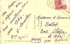 CPM Biskra Un Chemin dans la Palmeraie Chameau