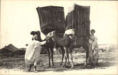 VINTAGE POSTCARD Reef tackles Camels