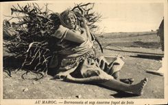 VINTAGE POSTCARD With Morocco Bernoussia and its Enormous faggot of see Co Gle Transatlantique