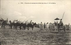 El Juramento-tomar de Fes de la POSTAL de la VENDIMIA de la fidelidad de las tribus tiene SM el sultán