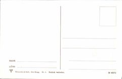 CPA Tulpenvelden Fleurs 