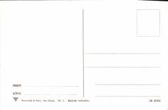 CPA Tulpenvelden Fleurs 