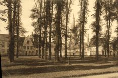 CPA Bruges Le Beguinage