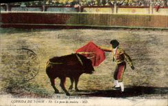 CPA Corrida De Toros Une passe de muleta Corrida