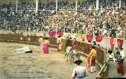 VINTAGE POSTCARD Bullfight De Toros Juego of muleta Bullfight