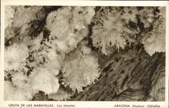 CPA Huelva Aracena Espana Gruta de las Maravillas Las Claveles