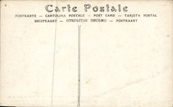 VINTAGE POSTCARD Paris the Great Rising Of the Seine the bridge of the alma to the maximum of the rising