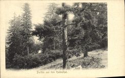 CPA Parthie aus dem Radauthal