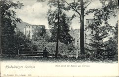 CPA Heidelberger Schloss blick durch die Baume der TErrasse