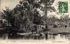 CPA Angers Le Jardin des plantes Ile des cygnes