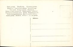 VINTAGE POSTCARD Bonn Der Rhein Munsterplatz MIT Beethoven Denkmal Bethoven