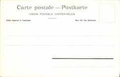 VINTAGE POSTCARD Neuchâtel Castle and the Alps