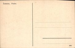VINTAGE POSTCARD Sumava Prales