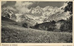 CPA Primavera En Liebana