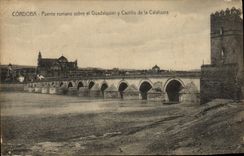 CPA Cordoba Puente Romano Sobre El Guadalquioir Y Castillo De La Calahorra
