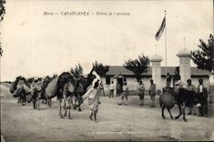 CPA Maroc Casablanca Entree De l'Aviation Chameaux Ane