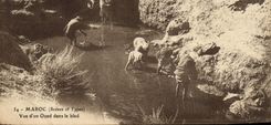 VINTAGE POSTCARD Morocco Seen of a Wadi In the Village