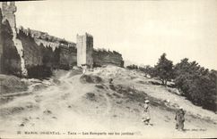 VINTAGE POSTCARD Eastern Morocco Taza Walls On the Gardens