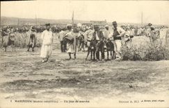 VINTAGE POSTCARD Mahiridja a Day Of Market Ass Mules